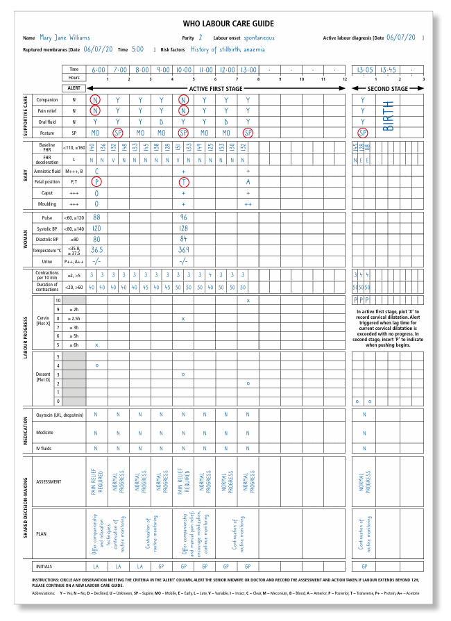 WHO Labour Care Guide Data