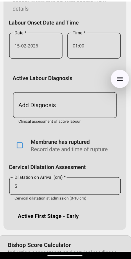 Labour Monitoring Input